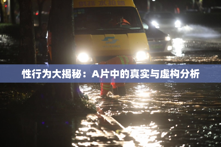 性行为大揭秘：A片中的真实与虚构分析