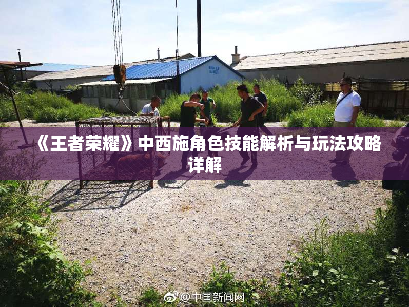 《王者荣耀》中西施角色技能解析与玩法攻略详解