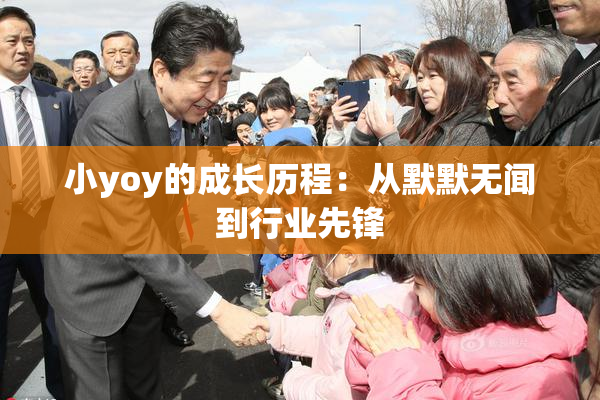 小yoy的成长历程：从默默无闻到行业先锋