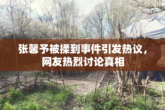张馨予被揉到事件引发热议，网友热烈讨论真相