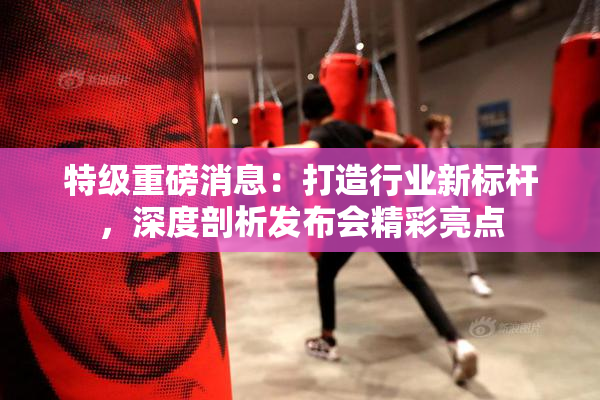 特级重磅消息：打造行业新标杆，深度剖析发布会精彩亮点