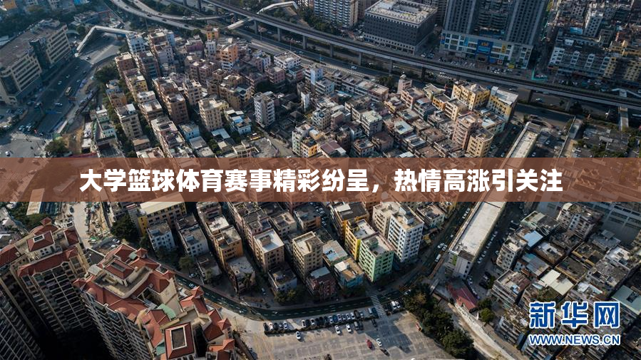 大学篮球体育赛事精彩纷呈，热情高涨引关注