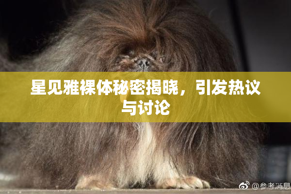 星见雅裸体秘密揭晓，引发热议与讨论