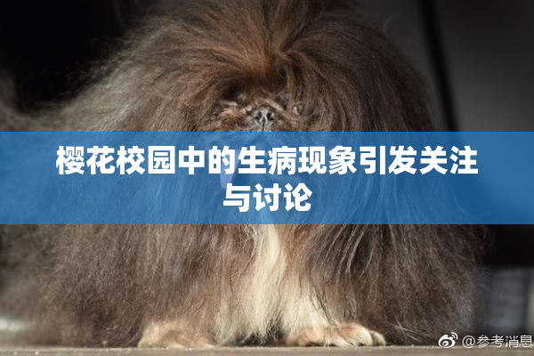 樱花校园中的生病现象引发关注与讨论