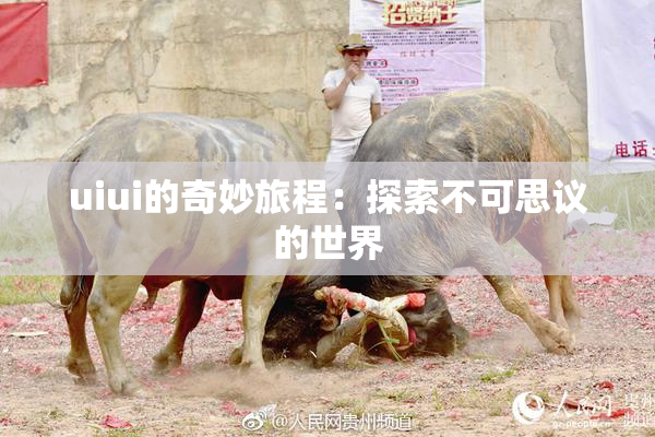 uiui的奇妙旅程：探索不可思议的世界