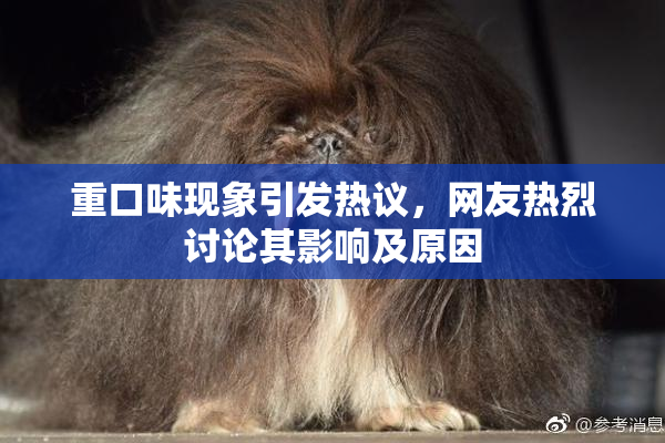 重口味现象引发热议，网友热烈讨论其影响及原因