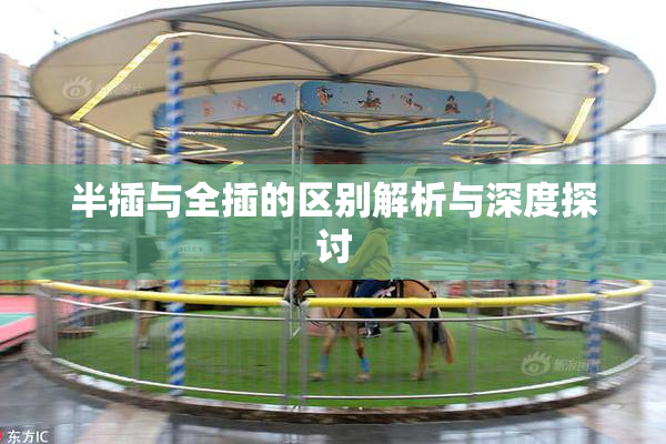 半插与全插的区别解析与深度探讨