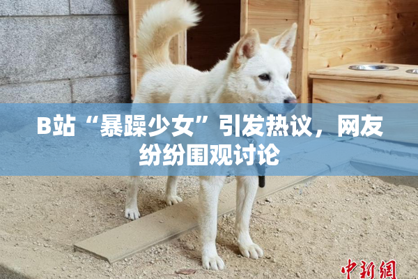 B站“暴躁少女”引发热议，网友纷纷围观讨论