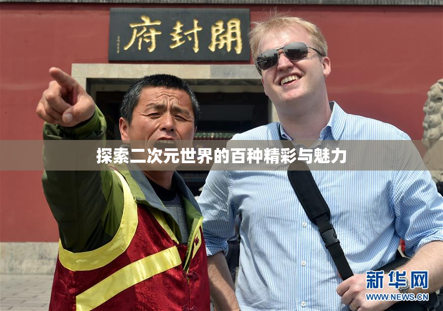 探索二次元世界的百种精彩与魅力