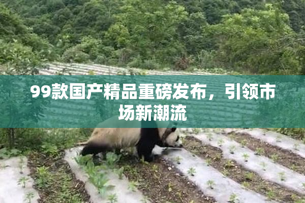 99款国产精品重磅发布，引领市场新潮流