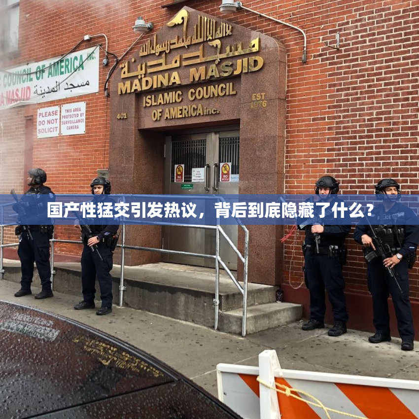国产性猛交引发热议，背后到底隐藏了什么？