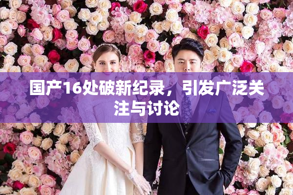 国产16处破新纪录，引发广泛关注与讨论