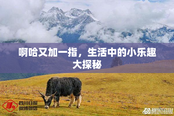 啊哈又加一指，生活中的小乐趣大探秘