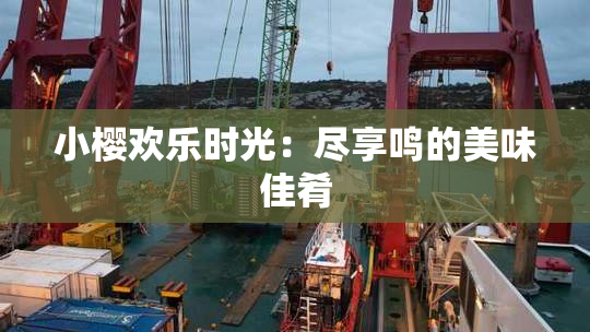 小樱欢乐时光：尽享鸣的美味佳肴