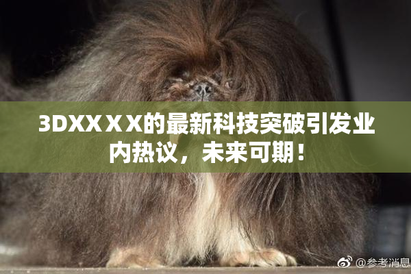 3DXXⅩX的最新科技突破引发业内热议，未来可期！