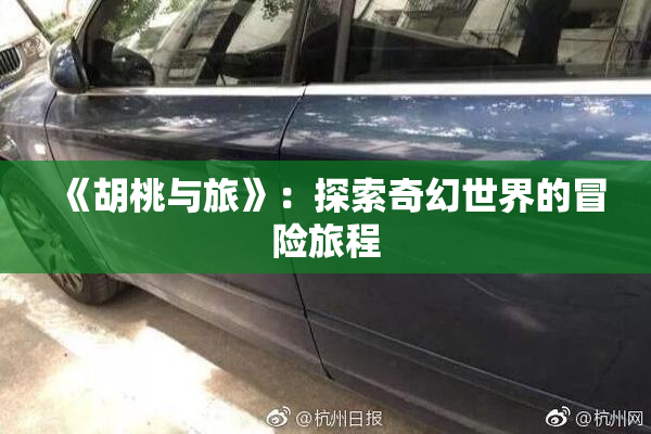 《胡桃与旅》：探索奇幻世界的冒险旅程