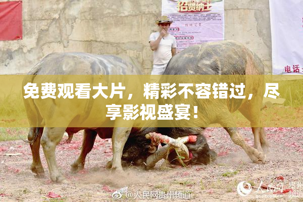 免费观看大片，精彩不容错过，尽享影视盛宴！