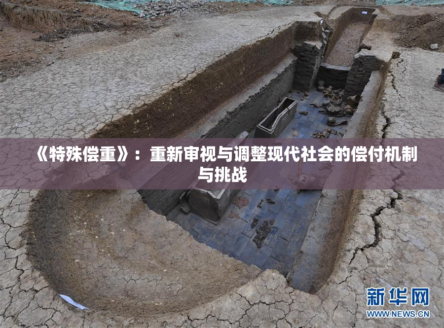 《特殊偿重》：重新审视与调整现代社会的偿付机制与挑战