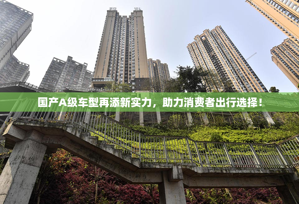 国产A级车型再添新实力，助力消费者出行选择！