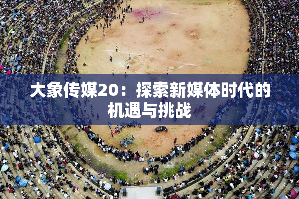 大象传媒20：探索新媒体时代的机遇与挑战