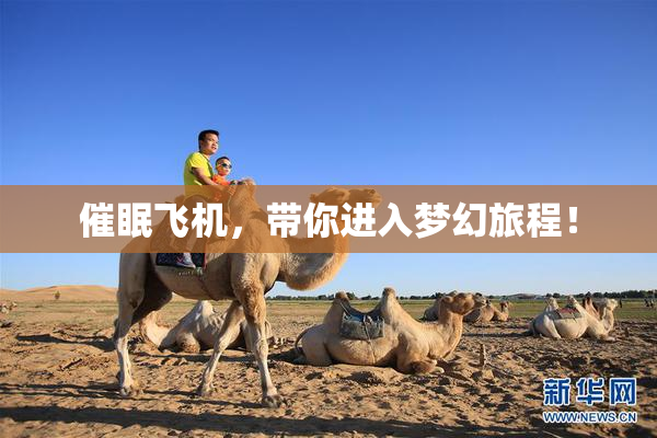 催眠飞机，带你进入梦幻旅程！