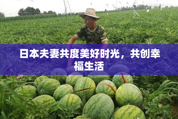 日本夫妻共度美好时光，共创幸福生活