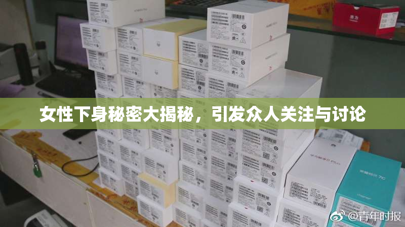 女性下身秘密大揭秘，引发众人关注与讨论