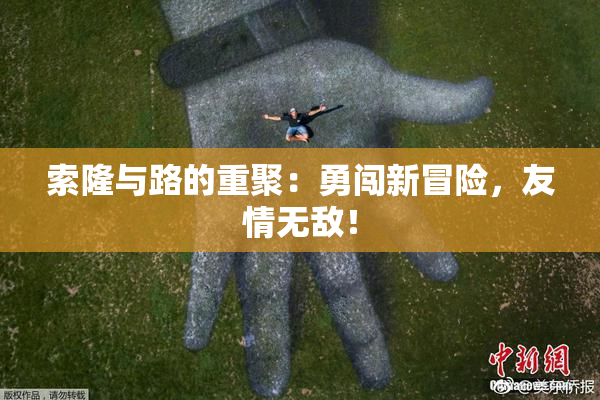 索隆与路的重聚：勇闯新冒险，友情无敌！