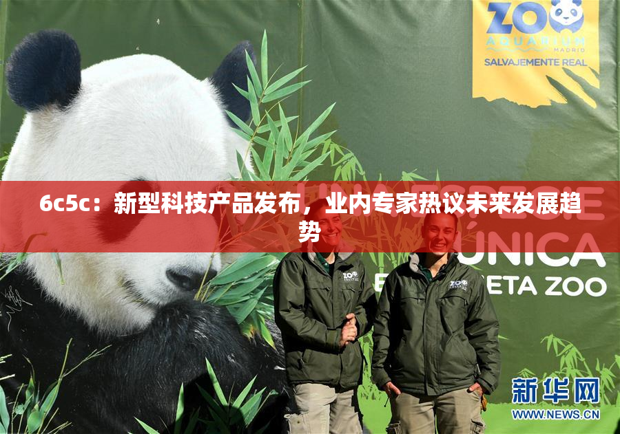 6c5c：新型科技产品发布，业内专家热议未来发展趋势