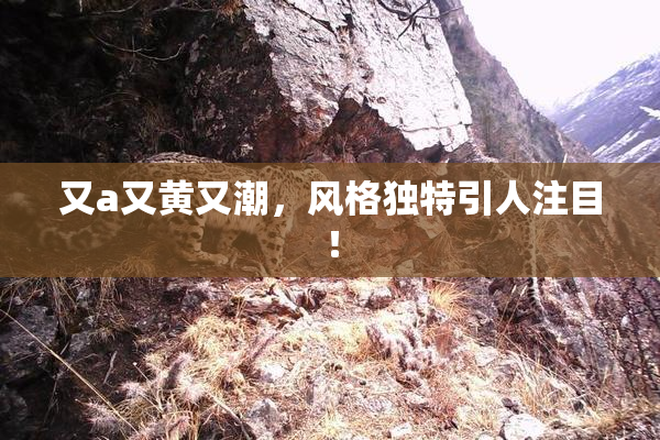 又a又黄又潮，风格独特引人注目！