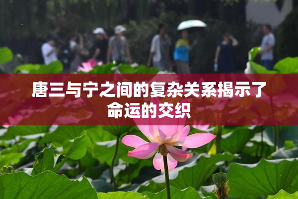 唐三与宁之间的复杂关系揭示了命运的交织