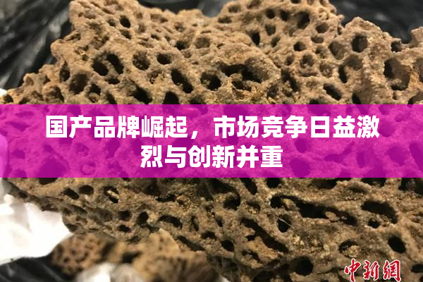 国产品牌崛起，市场竞争日益激烈与创新并重