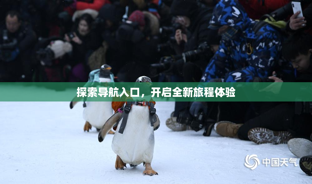 探索导航入口，开启全新旅程体验