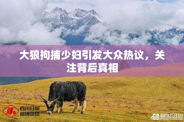 大狼拘捕少妇引发大众热议，关注背后真相