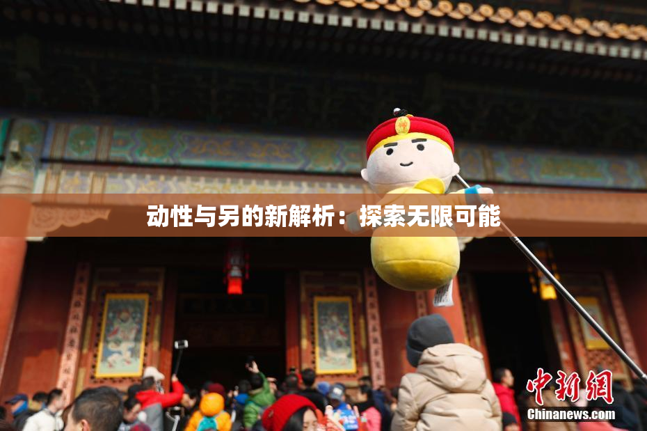 动性与另的新解析：探索无限可能