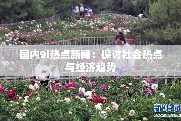 国内9l热点新闻：探讨社会热点与经济趋势