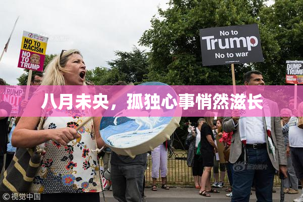 八月未央，孤独心事悄然滋长