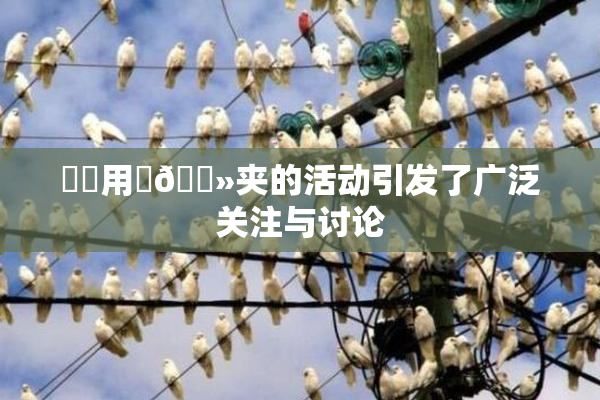 妺妺用‌🐻夹的活动引发了广泛关注与讨论