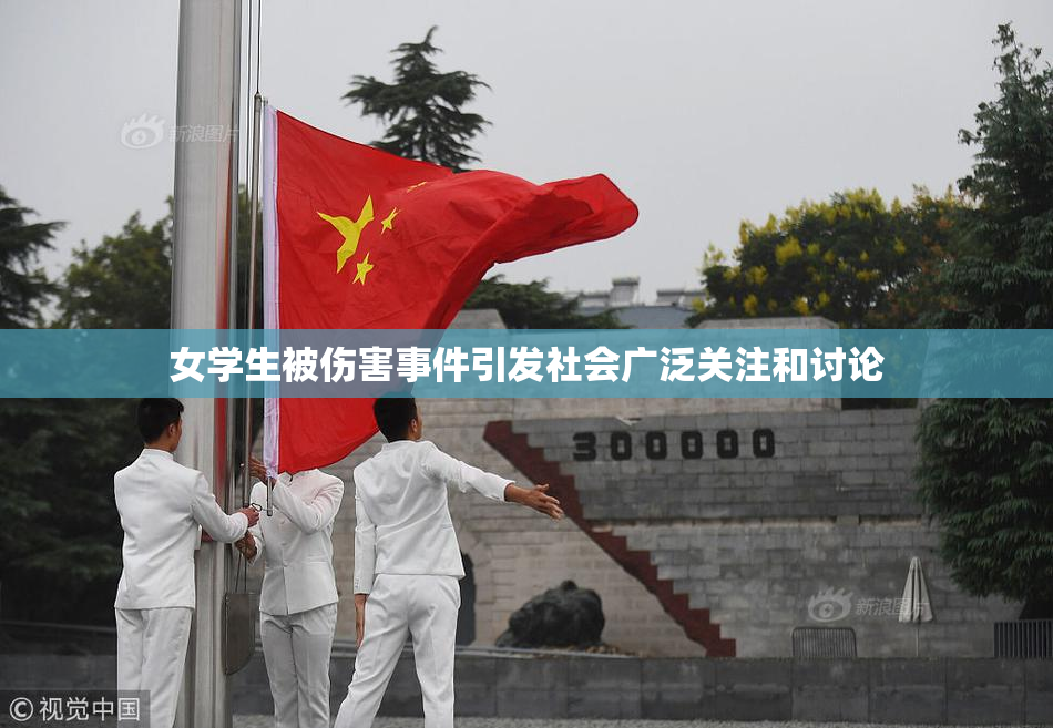 女学生被伤害事件引发社会广泛关注和讨论