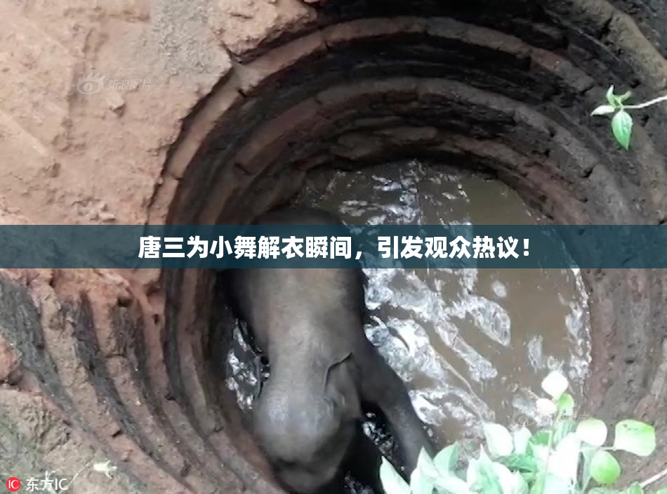 唐三为小舞解衣瞬间，引发观众热议！