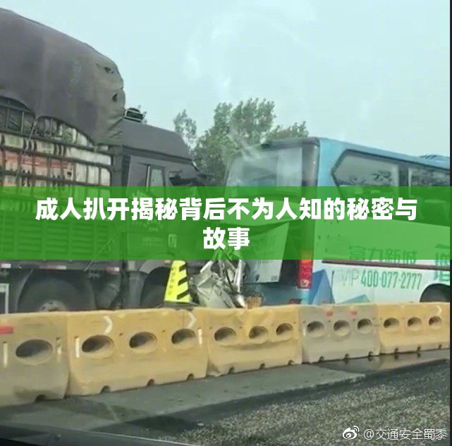 成人扒开揭秘背后不为人知的秘密与故事