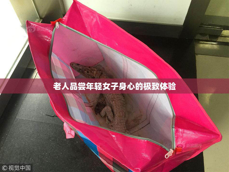 老人品尝年轻女子身心的极致体验