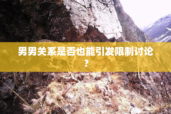 男男关系是否也能引发限制讨论？