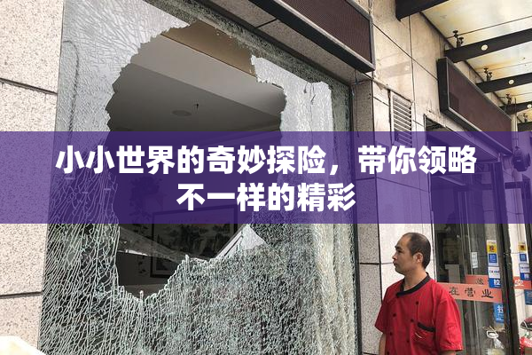 小小世界的奇妙探险，带你领略不一样的精彩
