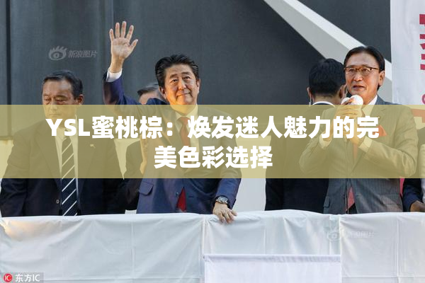 YSL蜜桃棕：焕发迷人魅力的完美色彩选择