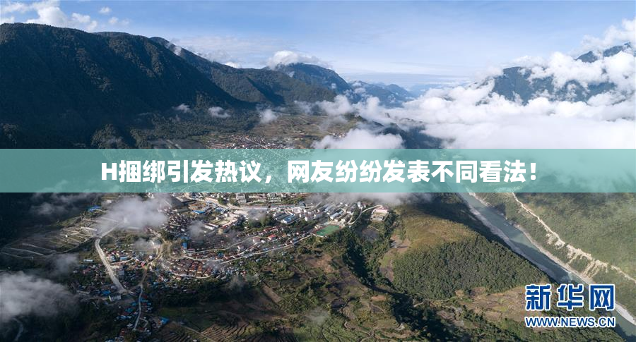 H捆绑引发热议，网友纷纷发表不同看法！