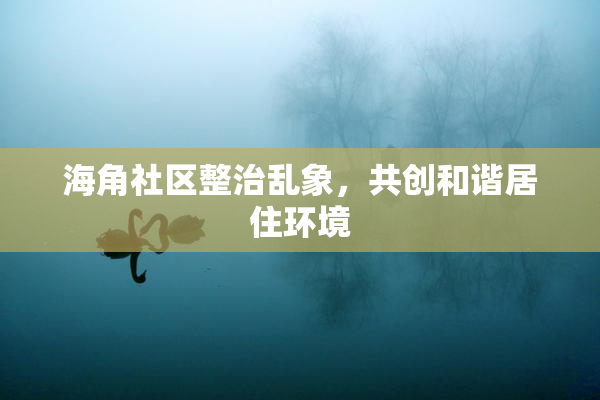海角社区整治乱象，共创和谐居住环境