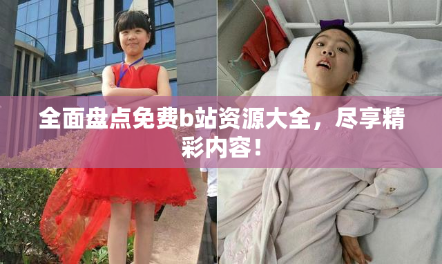 全面盘点免费b站资源大全，尽享精彩内容！