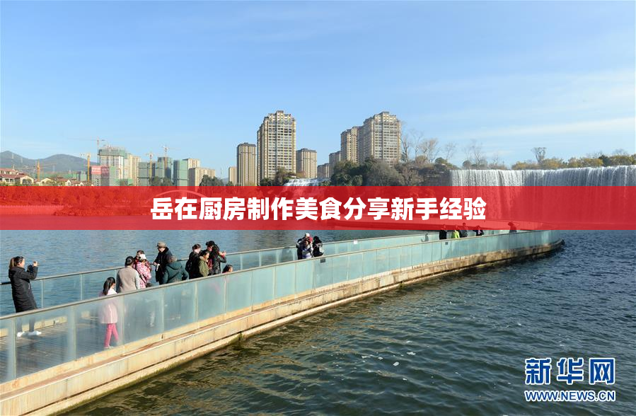岳在厨房制作美食分享新手经验