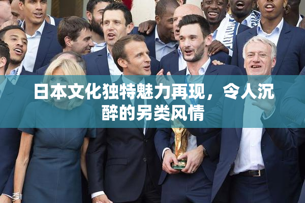 日本文化独特魅力再现，令人沉醉的另类风情